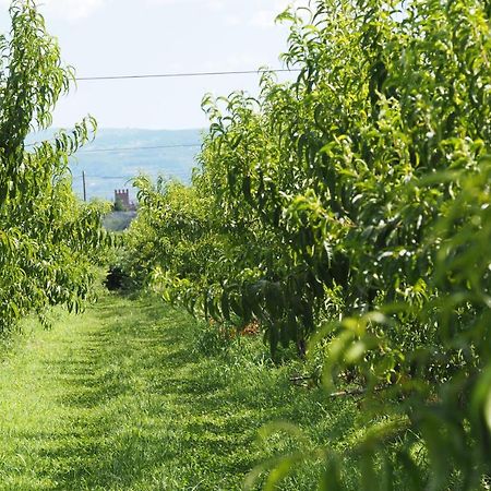 Agriturismo Fior Di Maggio Pescantina Kültér fotó