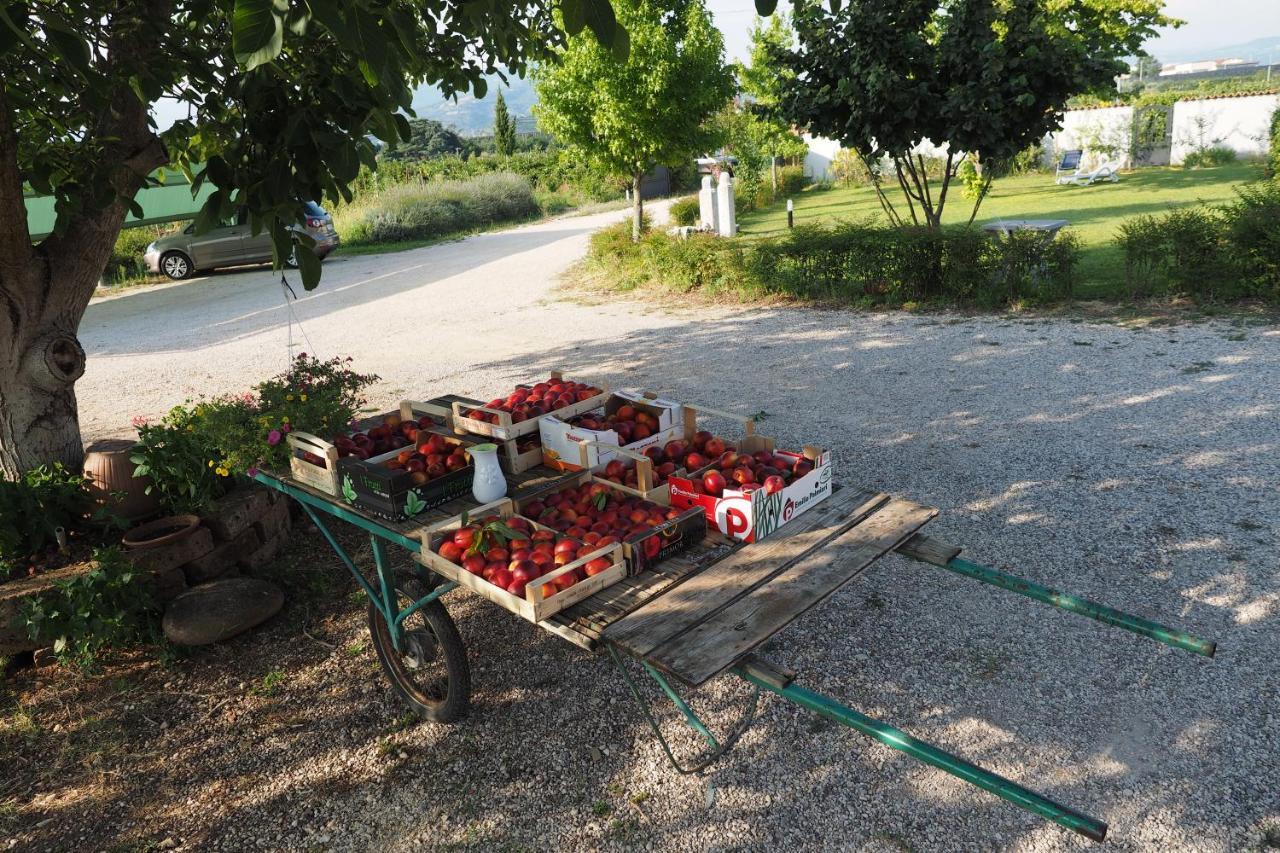 Agriturismo Fior Di Maggio Pescantina Kültér fotó