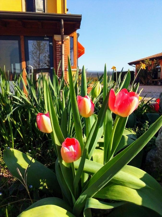 Agriturismo Fior Di Maggio Pescantina Kültér fotó