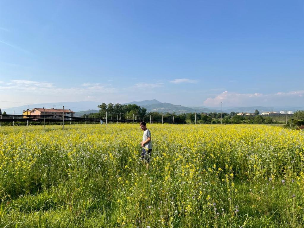 Agriturismo Fior Di Maggio Pescantina Kültér fotó