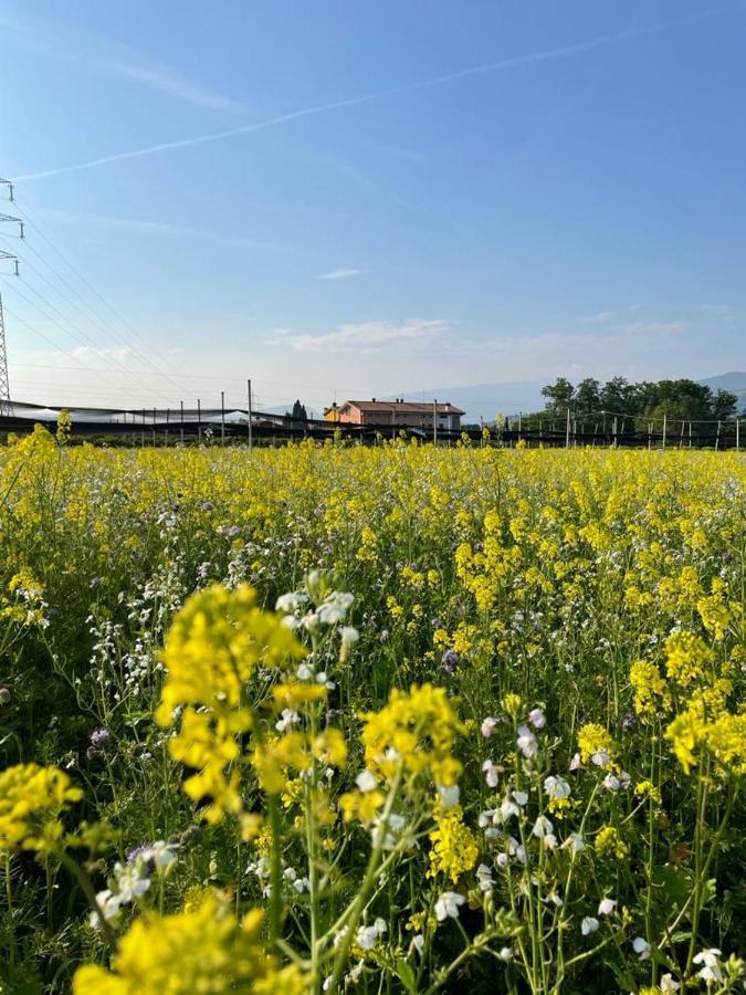 Agriturismo Fior Di Maggio Pescantina Kültér fotó