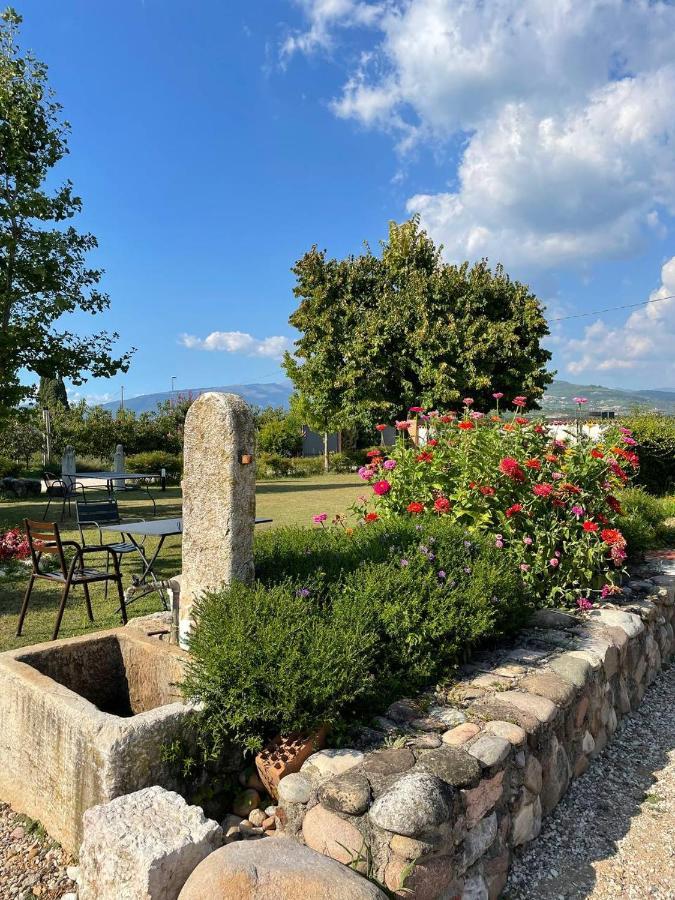 Agriturismo Fior Di Maggio Pescantina Kültér fotó