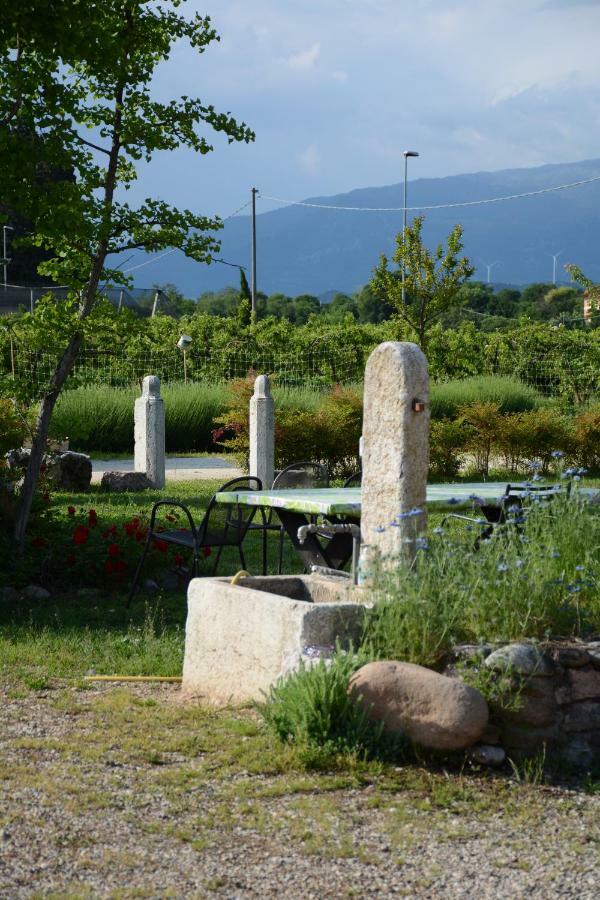 Agriturismo Fior Di Maggio Pescantina Kültér fotó
