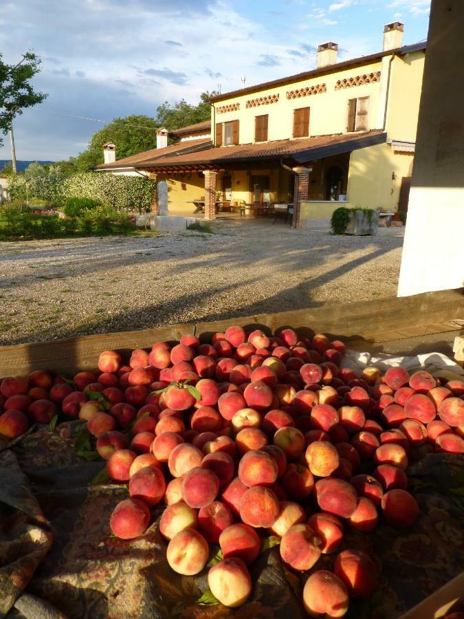 Agriturismo Fior Di Maggio Pescantina Kültér fotó